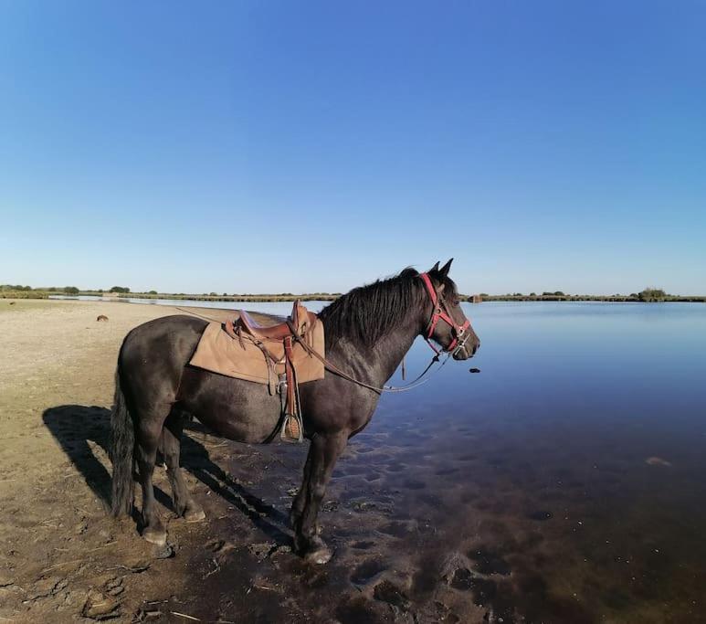 Gite A Saint Andre Des Eaux Dış mekan fotoğraf