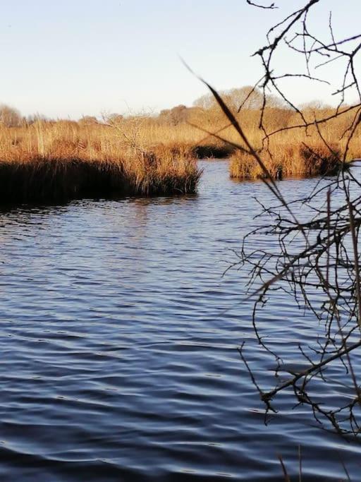 Gite A Saint Andre Des Eaux Dış mekan fotoğraf