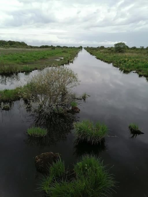 Gite A Saint Andre Des Eaux Dış mekan fotoğraf